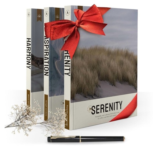 NWT decorative book set of three blank books for writing or journaling - Picture 1 of 7